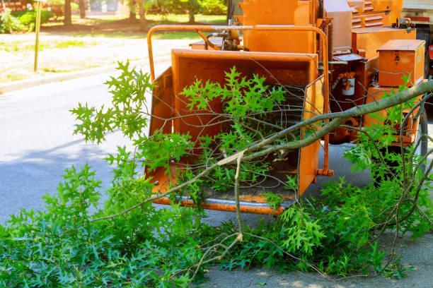 Best Tree Pruning Services  in Litchfield, IL